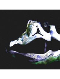 Air Jordan 11