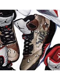 Air Jordan 5