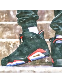 Air Jordan 6