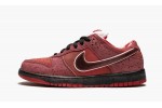 NIKE DUNK LOW PREMIUM SB LOBSTERS