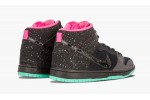 NIKE SB DUNK HIGH PREMIUM Northern Lights