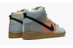 NIKE SB DUNK HIGH Spectrum