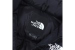 The North Face FW21 1996 Eco Nuptse Jacket