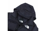 The North Face FW21 1996 Eco Nuptse Jacket