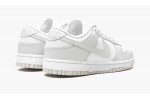 NIKE
DUNK LOW WMNS
Photon Dust