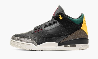 JORDAN
AIR JORDAN 3 SE
Animal Instinct 2.0
